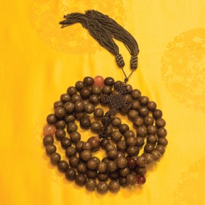 The radraksha beads used by generations of gurus at Nyingma Mindrolling Monastery. Inherited by Dudjom Rinpoche, he granted the beads to Master Tam as a symbol of the lineage.